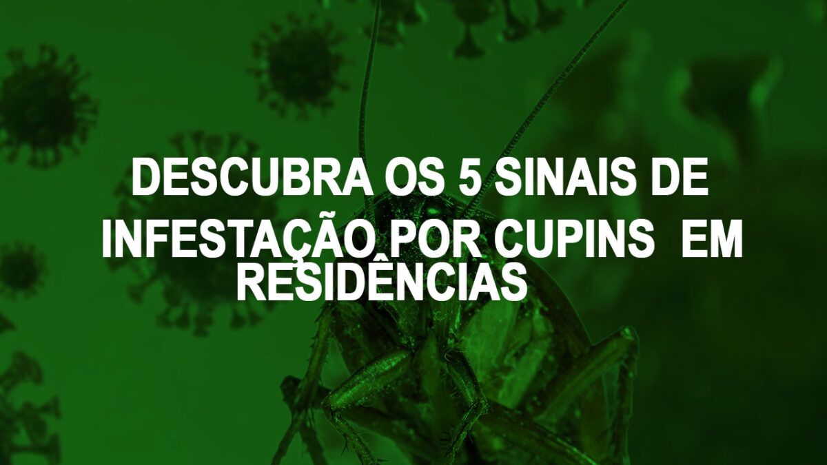 Descubra os 5 Sinais de Infestação por Cupins em Residências Verum