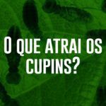 o que atrai os cupins