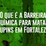 o que e a barreira quimica para matar cupins em fortaleza