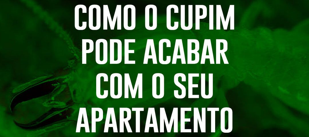 como o cupim pode acabar com o seu apartamento