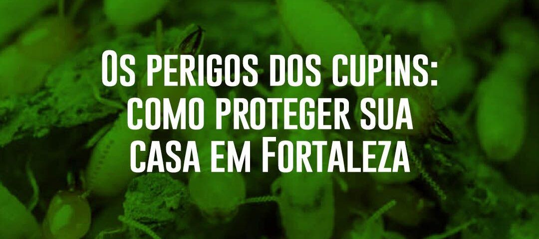 os perigos dos cupins como proteger sua casa em Fortaleza