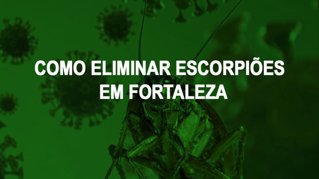 como eliminar escorpioes em Fortaleza
