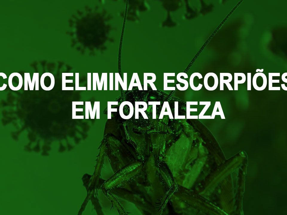 como eliminar escorpioes em Fortaleza