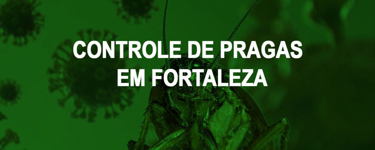 controle de praga em Fortaleza