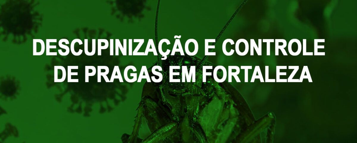 Descupinizacao e controle de pragas em Fortaleza