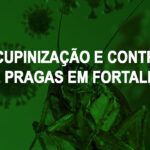 Descupinizacao e controle de pragas em Fortaleza