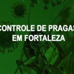 controle de pragas em Fortaleza