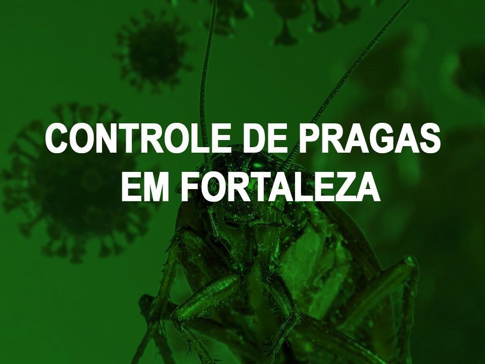 controle de pragas em Fortaleza