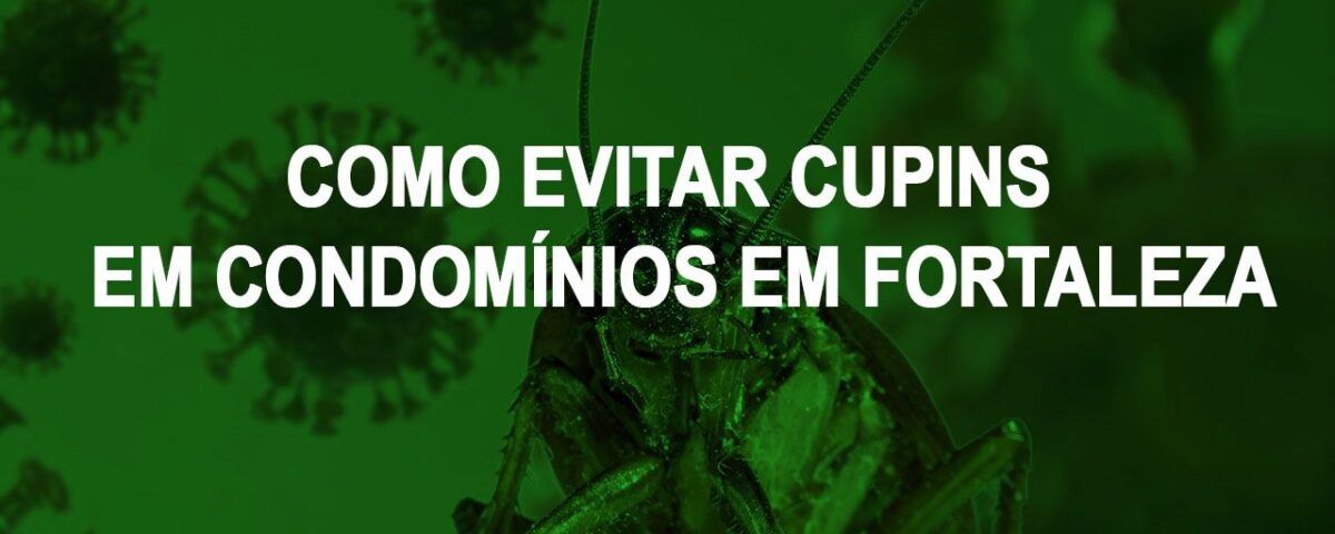 Como evitar cupins em condomínios em Fortaleza