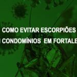 como evitar escorpiao em condominios em Fortaleza