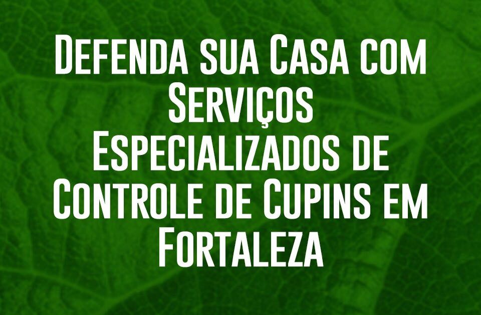 Defenda sua Casa com Serviços Especializados de Controle de Cupins em Fortaleza