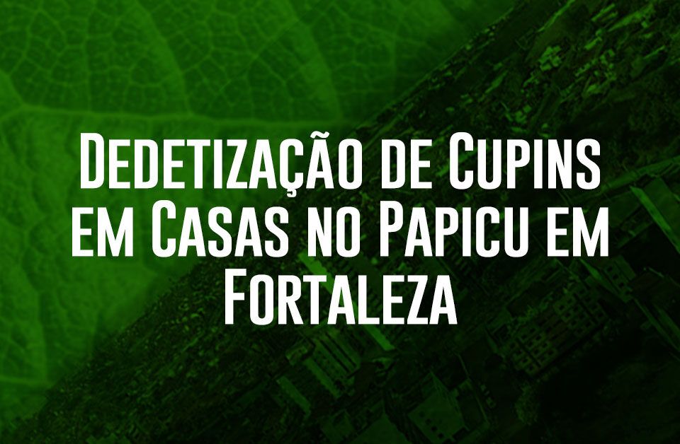 Dedetização de Cupins em Casas no Papicu em Fortaleza