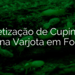 Dedetização de Cupins em Casas na Varjota em Fortaleza