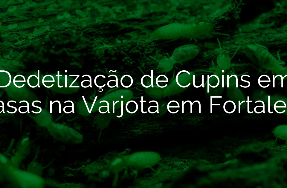 Dedetização de Cupins em Casas na Varjota em Fortaleza