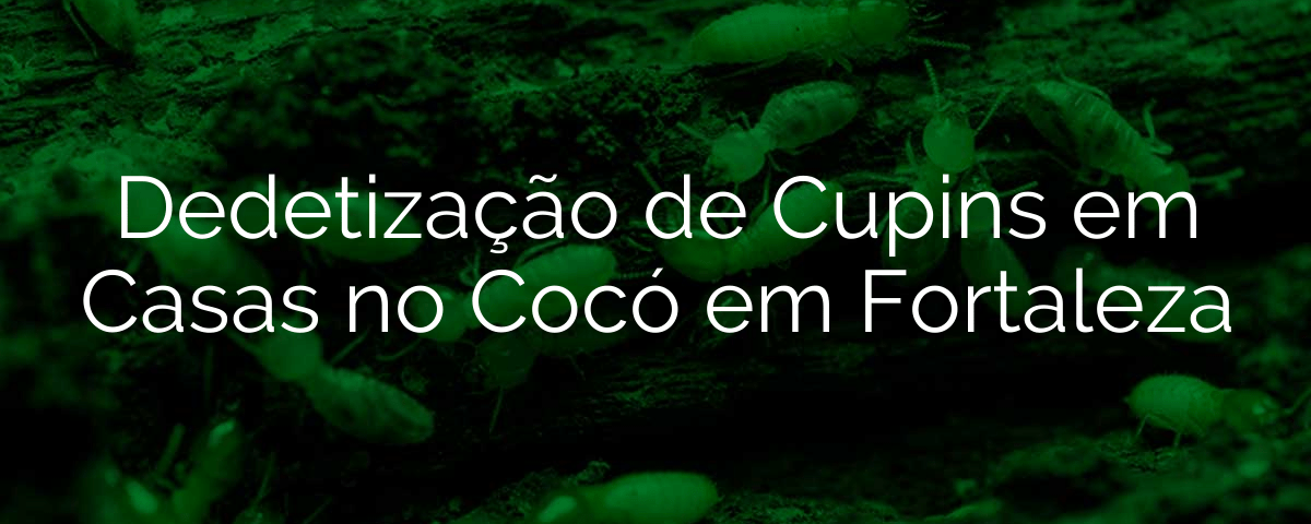 Dedetização de Cupins em Casas no Cocó em Fortaleza