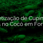 Dedetização de Cupins em Casas no Cocó em Fortaleza