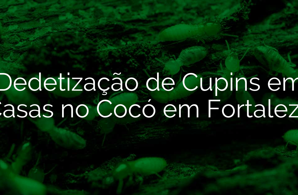 Dedetização de Cupins em Casas no Cocó em Fortaleza