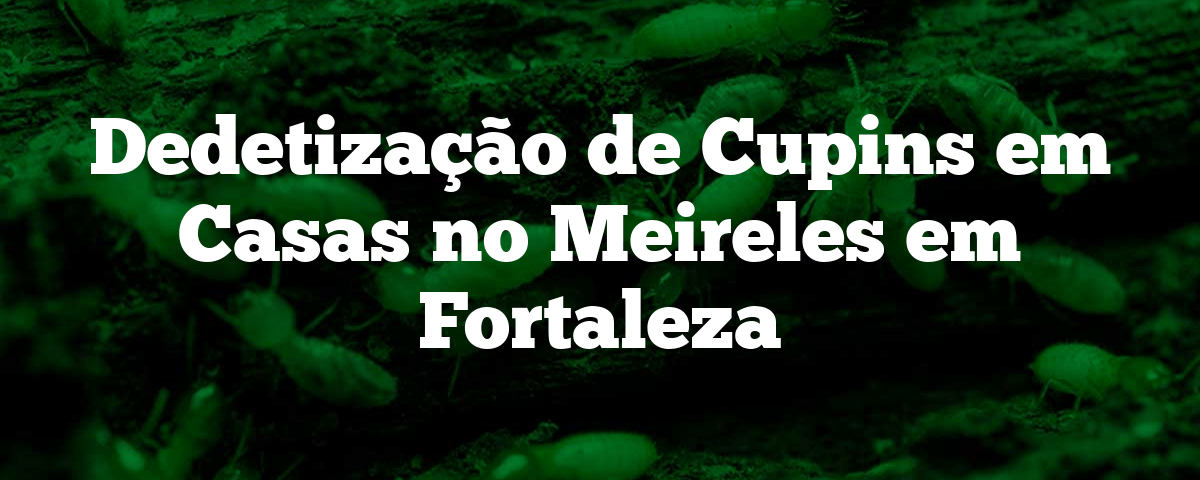 Dedetização de Cupins em Casas no Meireles em Fortaleza