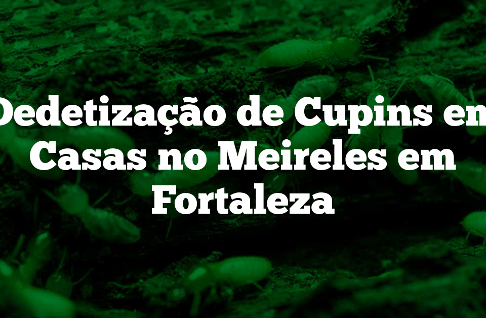Dedetização de Cupins em Casas no Meireles em Fortaleza