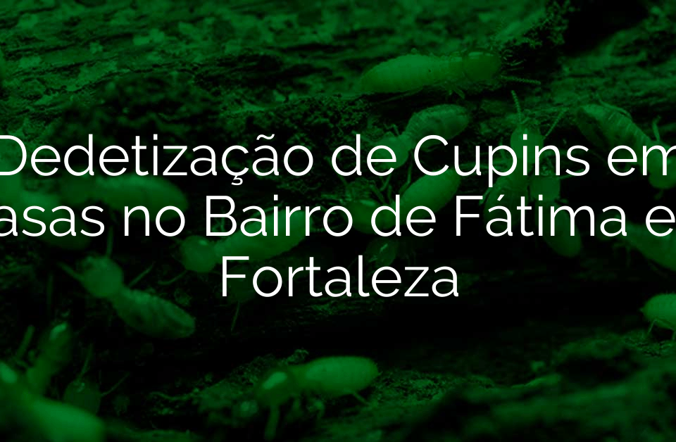 Dedetização de Cupins em Casas no Bairro de Fátima em Fortaleza