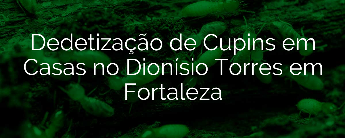 Dedetização de Cupins em Casas no Dionísio Torres em Fortaleza