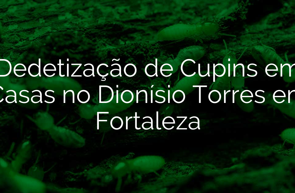 Dedetização de Cupins em Casas no Dionísio Torres em Fortaleza