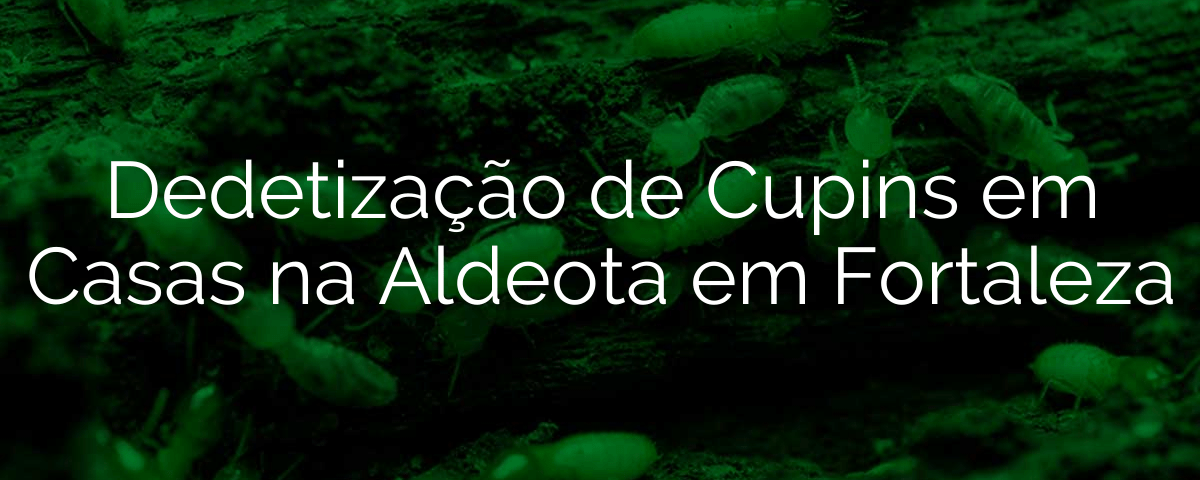 Dedetização de Cupins em Casas na Aldeota em Fortaleza