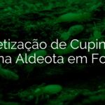 Dedetização de Cupins em Casas na Aldeota em Fortaleza