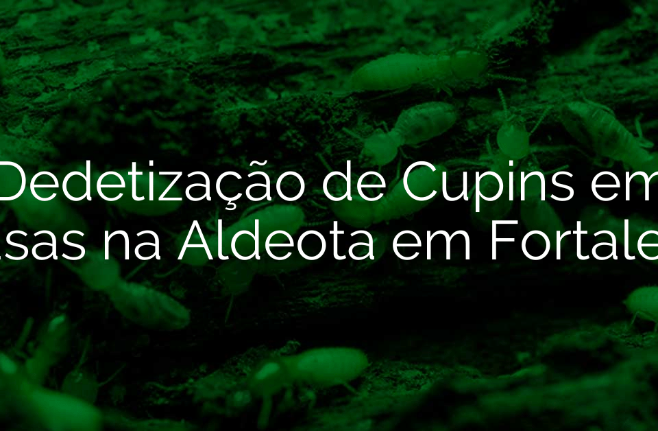 Dedetização de Cupins em Casas na Aldeota em Fortaleza