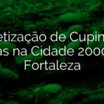 Dedetização de Cupins em Casas na Cidade 2000 em Fortaleza