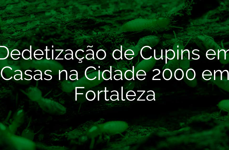 Dedetização de Cupins em Casas na Cidade 2000 em Fortaleza