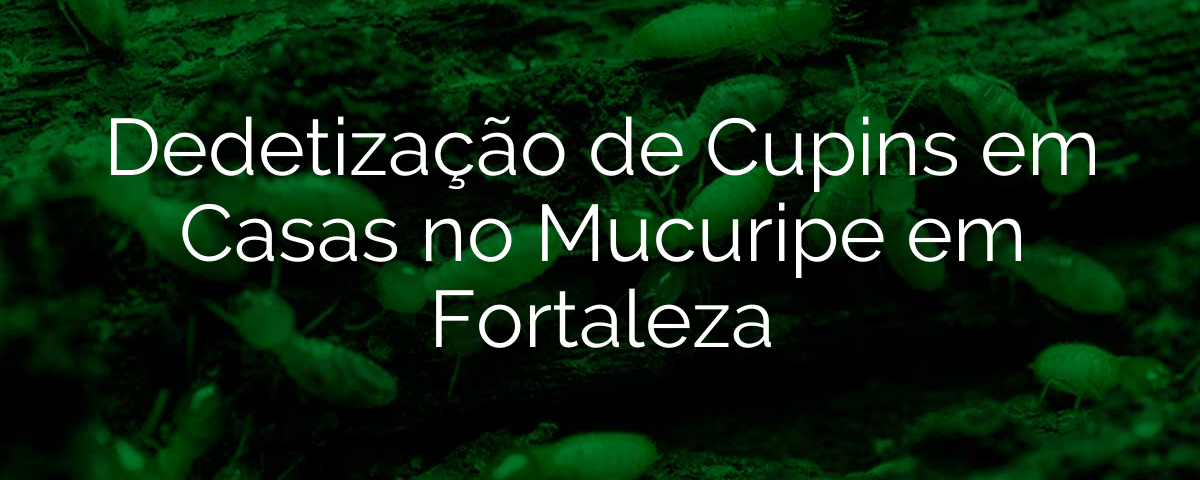 Dedetização de Cupins em Casas no Mucuripe em Fortaleza