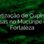 Dedetização de Cupins em Casas no Mucuripe em Fortaleza