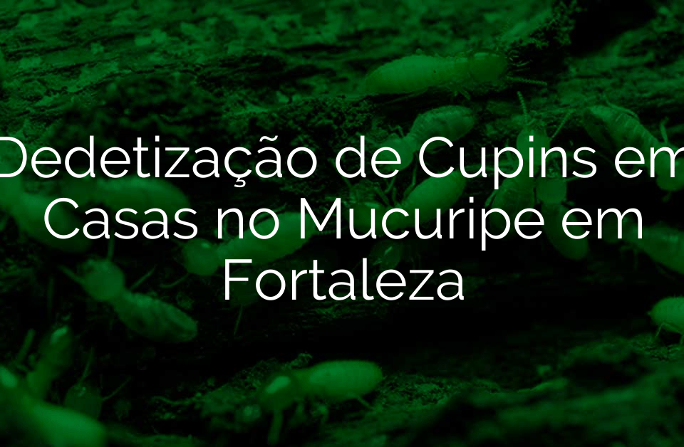 Dedetização de Cupins em Casas no Mucuripe em Fortaleza