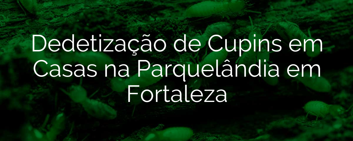 Dedetização de Cupins em Casas na Parquelândia em Fortaleza