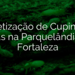 Dedetização de Cupins em Casas na Parquelândia em Fortaleza