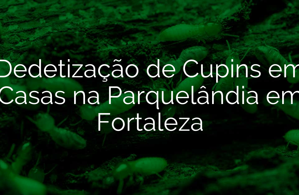 Dedetização de Cupins em Casas na Parquelândia em Fortaleza